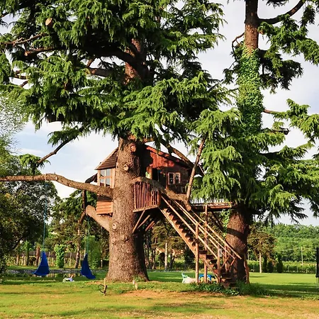 乡村民宿 Belvivere *